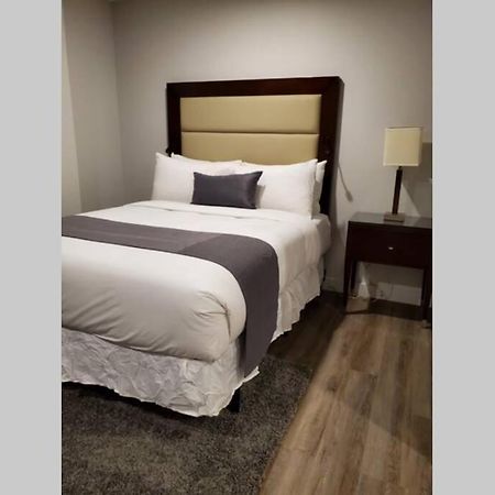 Cozy Sweet Studio #7, 10 Minutes To D.T. Ottawa Gatineau Bagian luar foto